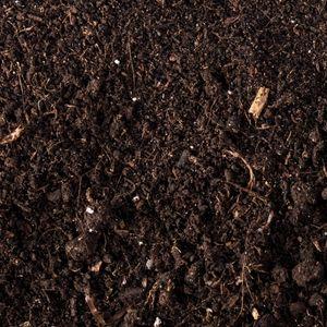 An example of Garden Compost