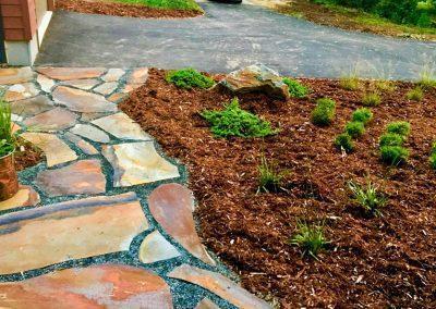 A landscape bed filled with brown mulch and small shrubs lining a flagstone walkway
