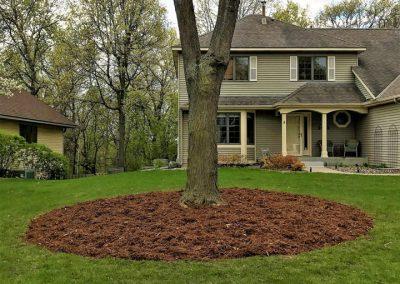 A large landscape bed filled with brown mulch surrounding a tree