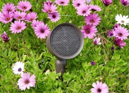 Outdoor Speaker Contractor