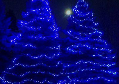 Two Christmas lights lit up with blue LED Christmas lights